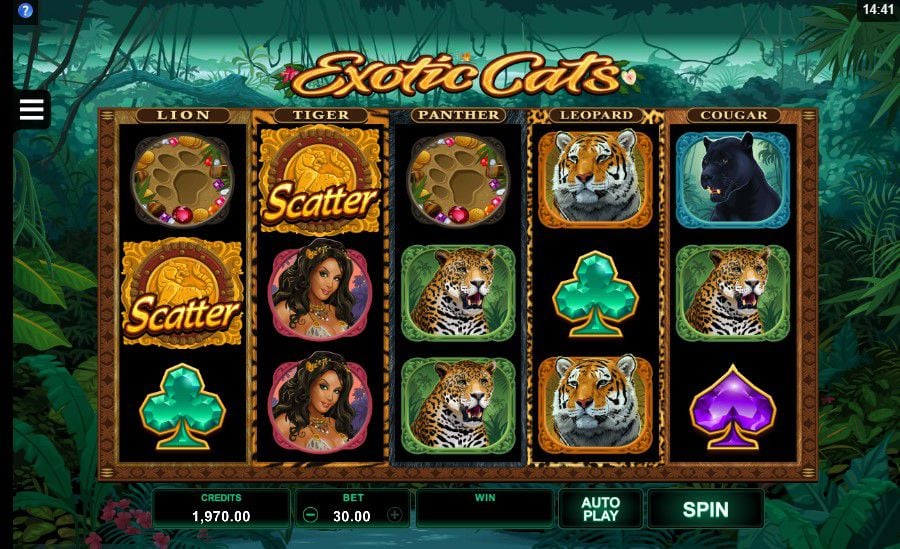 Exotic Cats Slot