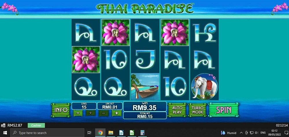 Thai Paradise 62bx.jpg