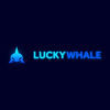 User name