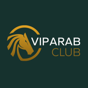 bonus-logo