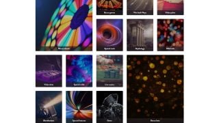 StallCation