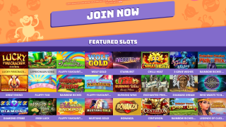 StallCation