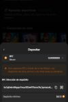 Wolf.io Casino Pagos