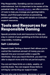 Speedz Casino Responsible Gambling Tools