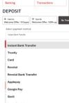 ibet Casino Payments