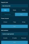 Volerbet Casino Responsible Gambling Tools