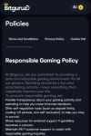 Bitguruz Responsible gambling 