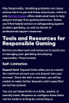 Berriez Casino Responsible Gambling Tools