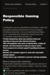 Taboobet Casino Responsible Gambling Tools