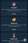 Wild.io Casino Responsible Gambling Tools