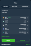 Wild.io Casino Payments