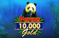 Panda Gold 10,000