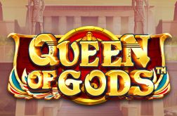 Slot Queen of Gods