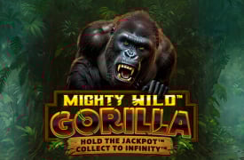 Mighty Wild: Gorilla Slot