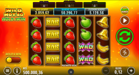 Slot Wild Hot 40 Hold & Win