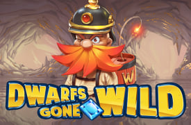 Slot Dwarfs Gone Wild