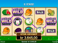 Docone888