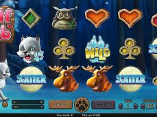 Afi4wins