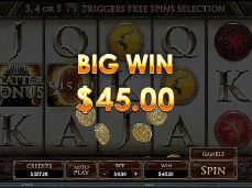 Afi4wins