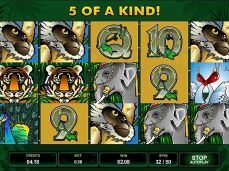 Afi4wins