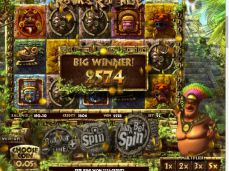 bigdk88