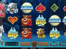 Afi4wins