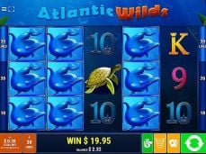 Afi4wins