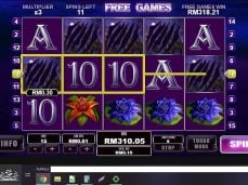 Afi4wins