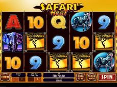Afi4wins
