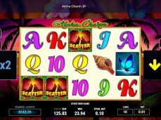 Afi4wins
