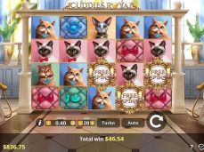 Afi4wins