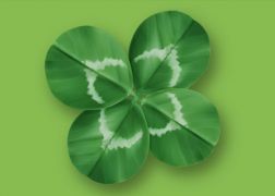 7 Feng Shui Plants, Lucky Plants and Good Luck Flowers That Bring Fortune