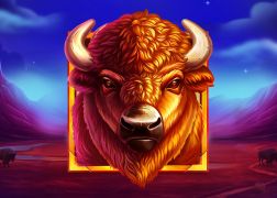 Galoppa attraverso i canyon delle emozioni con Young Buffalo Song