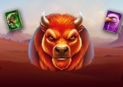 Vaga per le pianure americane in Buffalo Freedom DoubleMax