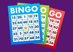 Guide to the Different Bingo Patterns Every Player Should Know