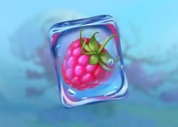 A Sequel to an Icy Fan-Favourite - Winterberries 2