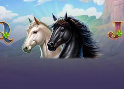 Dai spazio al tuo lato selvaggio con Mustangs and Stallions di Booming Games