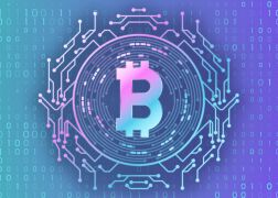 Claim Your Bitdreams 55% Weekly Crypto Bonus With This Code