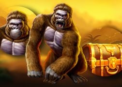 Let Champion Take You on a Journey Through Wilderness in Kong of the Jungle