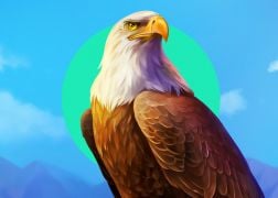 Upgaming Expands Offering With Playson Deal