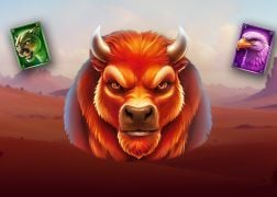 Roam the Great American Plains in Yggdrasil's Buffalo Freedom DoubleMax