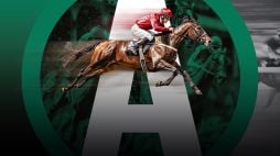 Cheltenham Festival Day 3 Betting Tips by Andrew Halligan