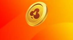 Spieler des RocketPlay Casinos gewinnt mehr als 85.000€ in einer Woche!