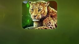 Release Your Inner Wild For a Portion of 1,000 Spins at EUSlot Casino