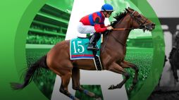 What Is a Lucky 15? Your Complete Guide to the Popular Bet