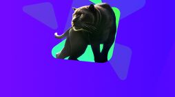 Wazdans Mighty Wild Series ist zurück und ist wilder als zuvor