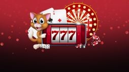 Obtén el increíble paquete de bienvenida exclusivo en Cazimbo Casino