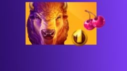 Räumen Sie das Non-Stop Drop Turnier von Playson bei RocketPlay Casino ab