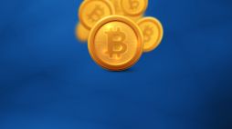 A Players Cashes Out 5.489 BTC at 7BitCasino
