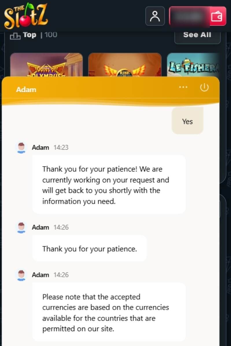 theslotz live chat